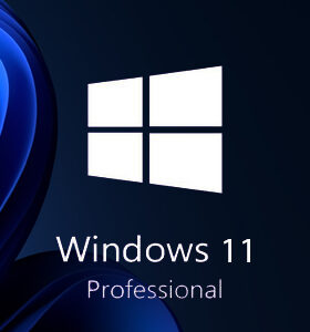 Microsoft Windows 11 (Pro)
