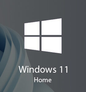 Windows 11 (Home)